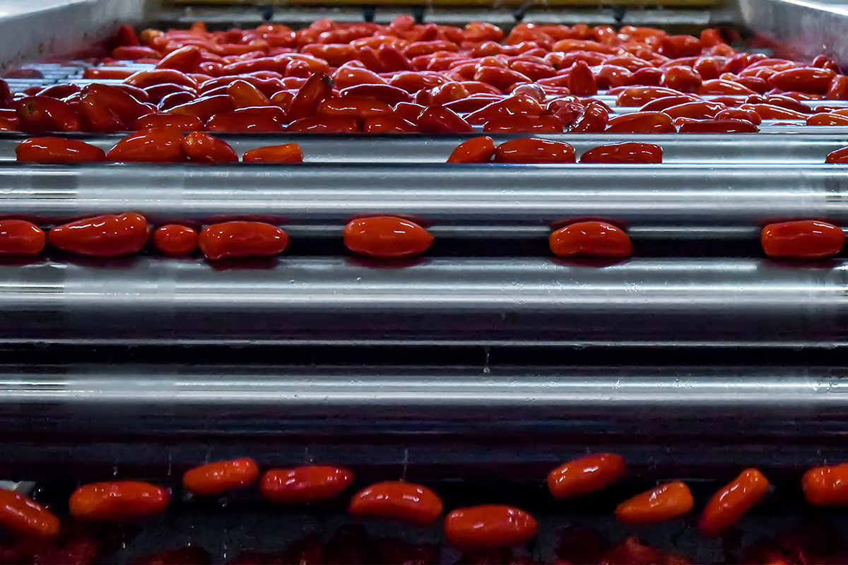 Rega - Strianese - Zia Rosa - AVPN