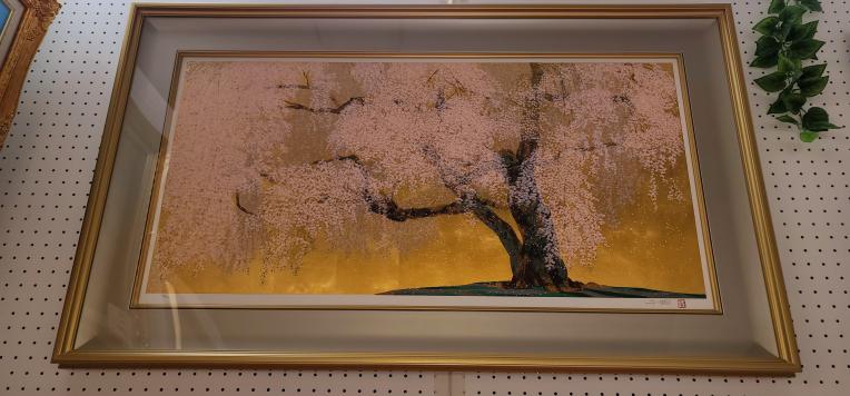 中島千波】金色の額縁に優雅な満開の桜 中島千波】金色の額縁に優雅な