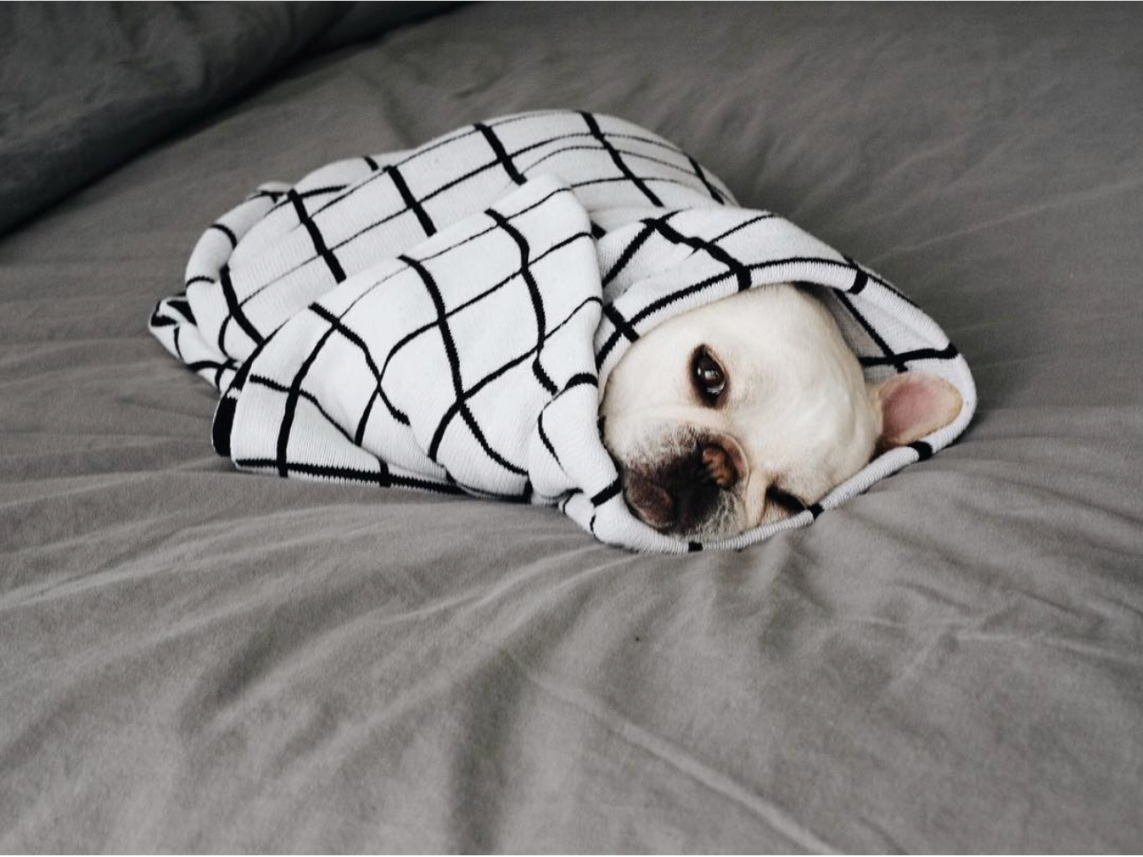 Grid Blanket – PIPOLLI