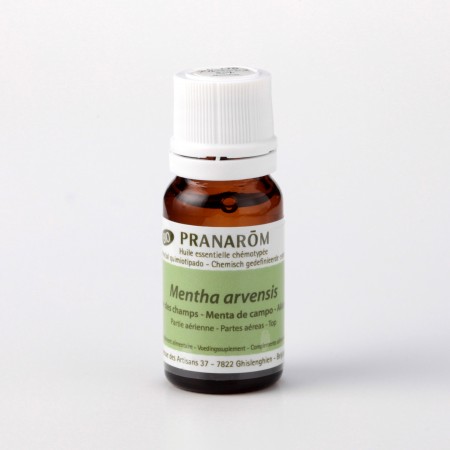 アルベンシスミント – プラナロム エッセンシャルオイル・精油｜健草医学舎