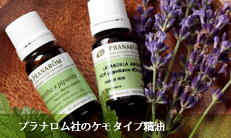 プラナロム エッセンシャルオイル・精油｜健草医学舎 – プラナロム社
