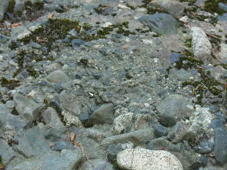 むらかみ・いわふね珍風景（珍風景番号98） - 新潟県ホームページ