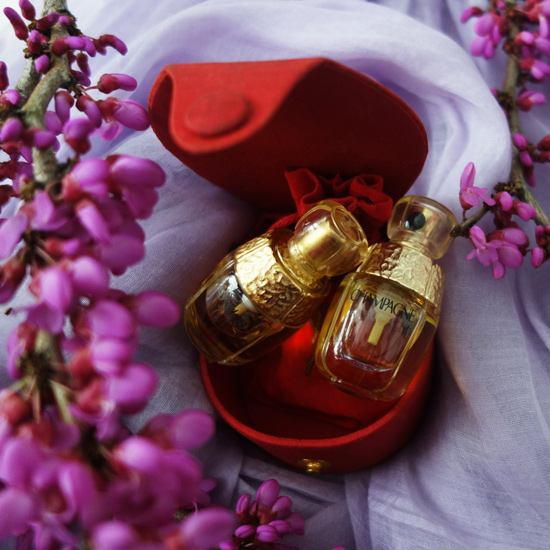 Yvresse / イヴレス 、Chanpagne / シャンパーニュ