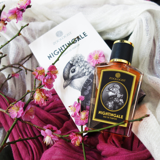 Nightingale / ナイチンゲール