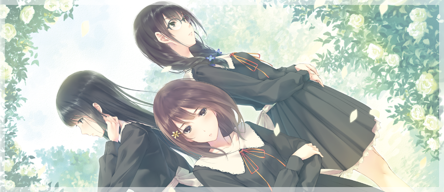 Nintendo Switch FLOWERS 四季