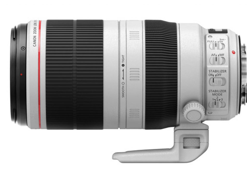 Review: The New Canon EF 100-400mm for Flowers and Bees by Jose