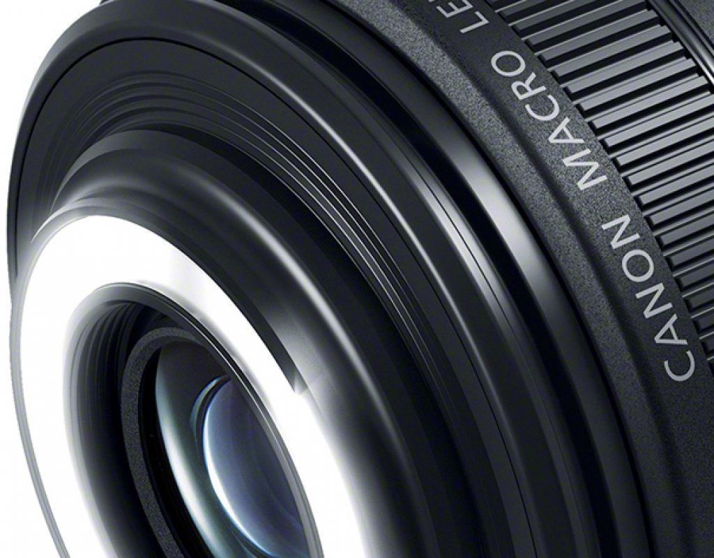 Canon EF-S 35mm F/2.8 MACRO IS STM, a macro with lights by Jose