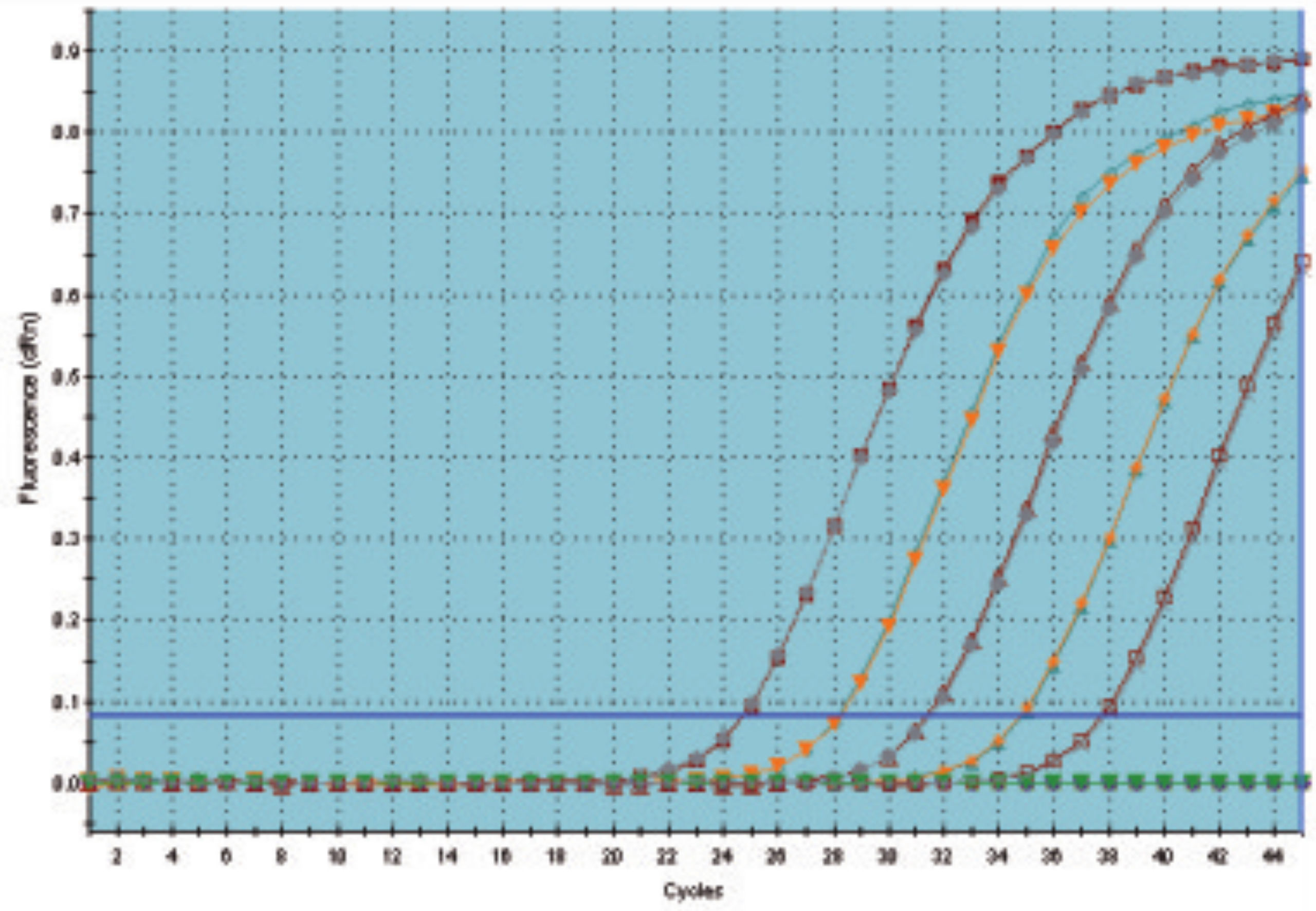 QuantiTect RT-PCR Kit