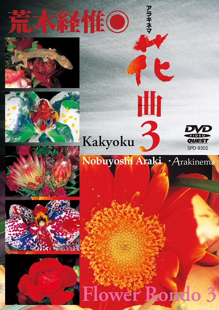 荒木経惟 Arakinema 花曲3