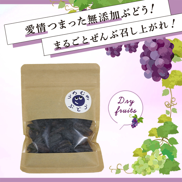 干しぶどう（大）100g | ロード銀山道の駅ストア