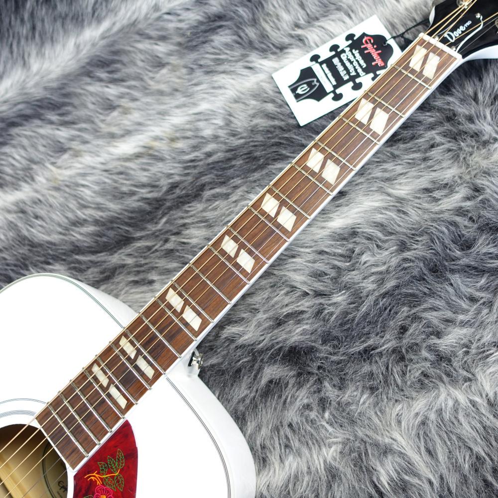 finEpiphone ダヴ　Dove Pro エレアコ希少ホワイトカラー Epiphone（エピフォン） Epiphone Ltd Ed DOVE PRO Alpine White