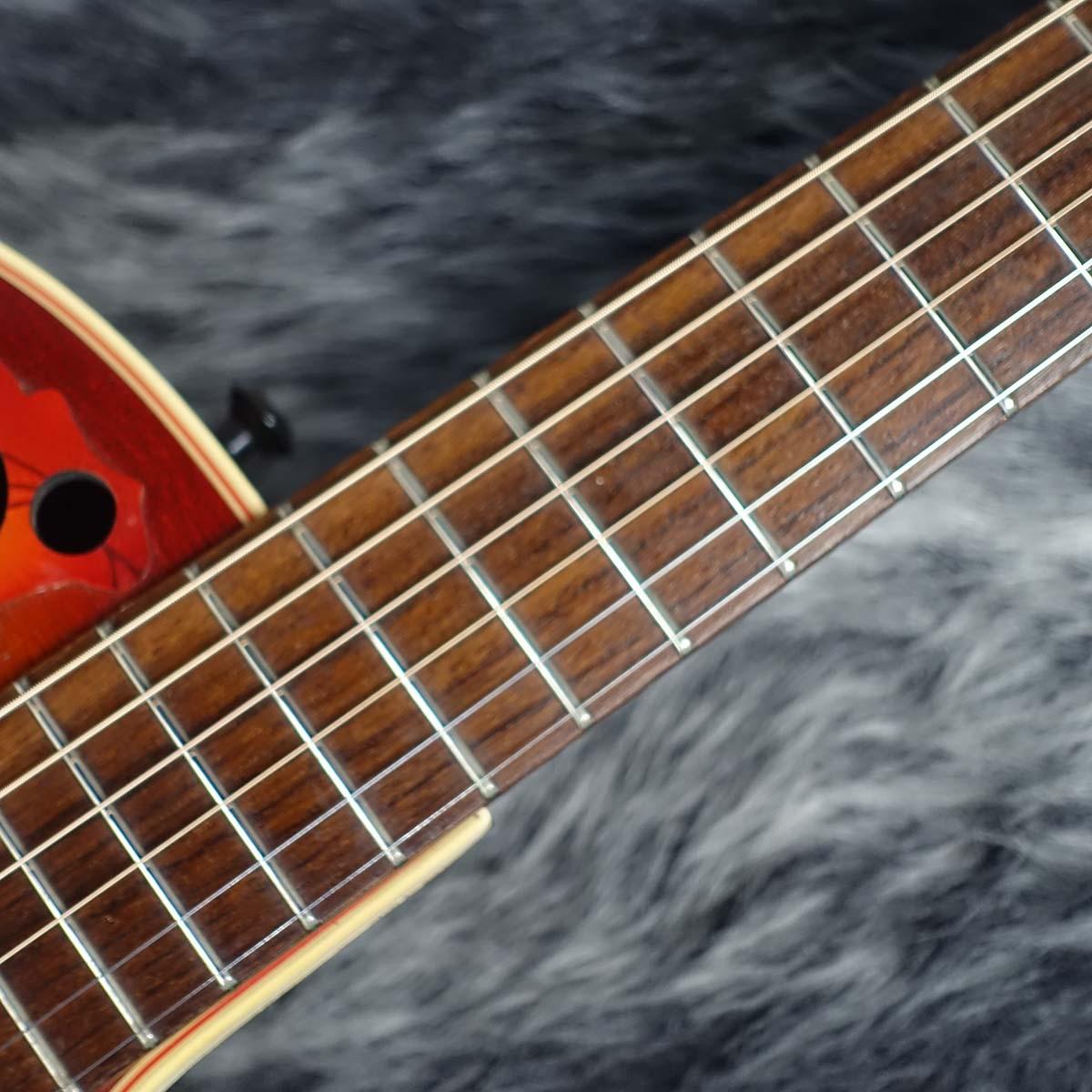 Ovation 6768 Elite Standard ハードケース付き Ovation 6768 Elite Standard <オベーション>｜平野楽器 ロッキン