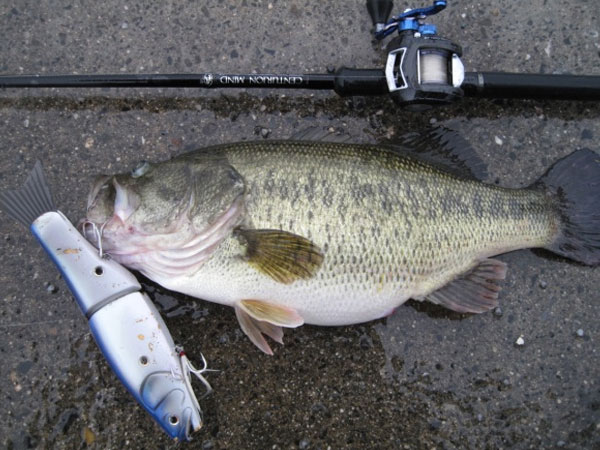 MOTHER - RomanMade【ロマンメイド】