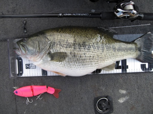 ロマンメイド ロマントリック 185mm 65g ビッグベイト 新品 ロマン