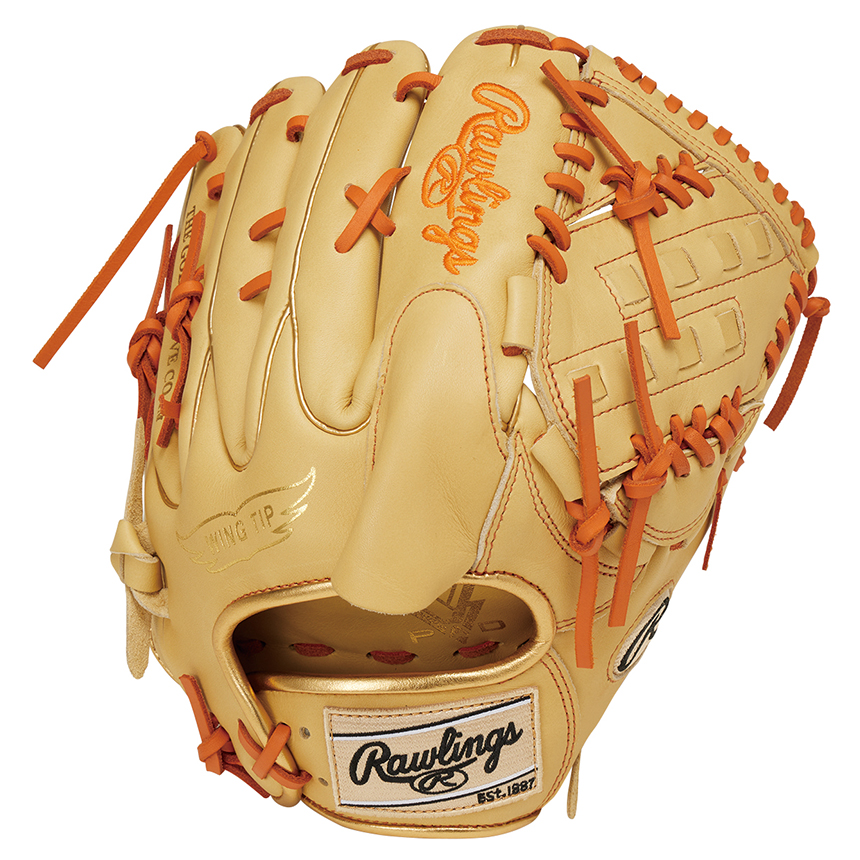 HOH® GRAPHIC 2023 [内野手用] サイズ11.5 | グラブ | PRODUCTS