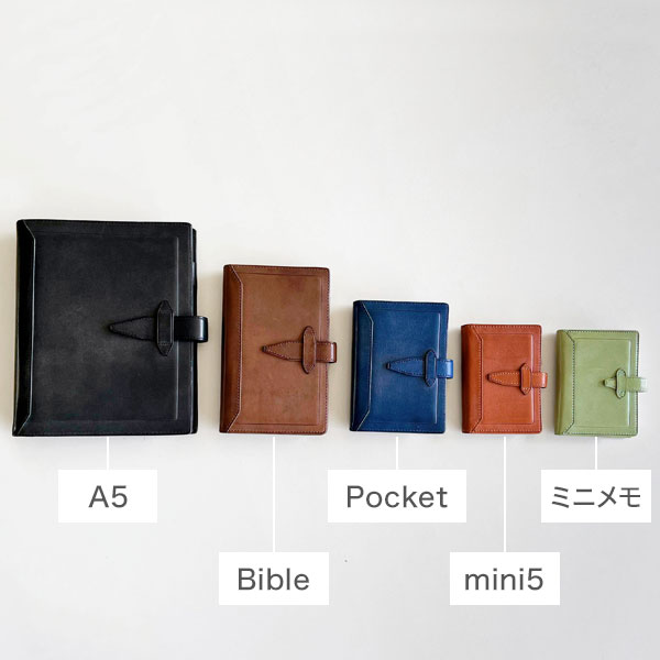 Davinciキャンペーン2025：レイメイ藤井