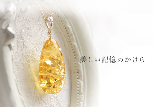 琥珀専門店アクビックス【琥珀について】