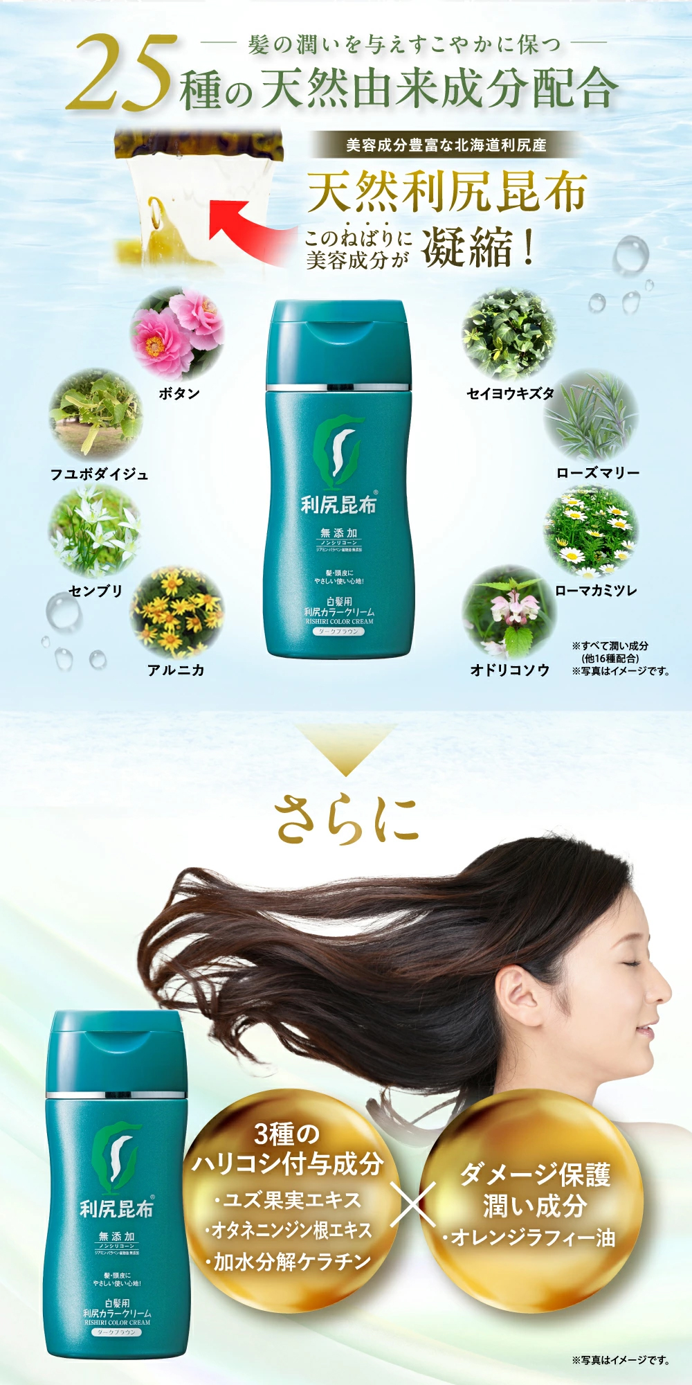 楽天市場】【3/1限定 P5倍 & 送料無料】白髪用 利尻カラークリーム