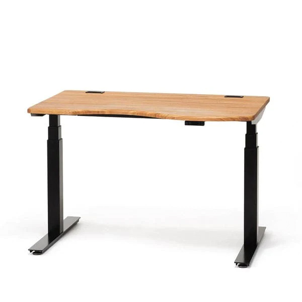 バランスチェアのサカモトハウス