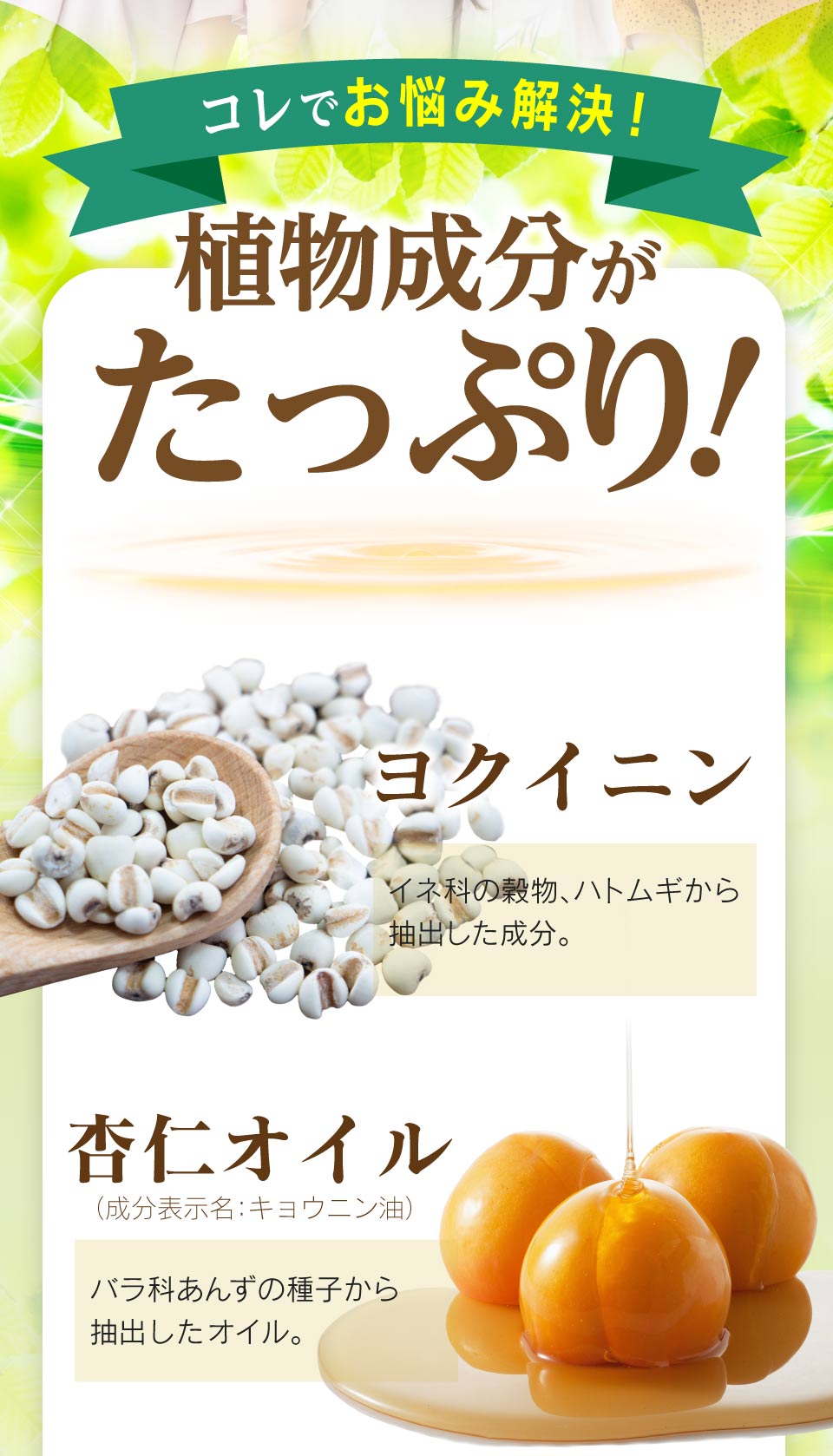 楽天市場】アンミオイル(30ml) 2本セット【送料無料】 : あんず美容