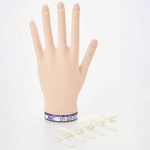 認定ハンド【新品未使用】 STモデルハンド セット（JNEC 第1期認定