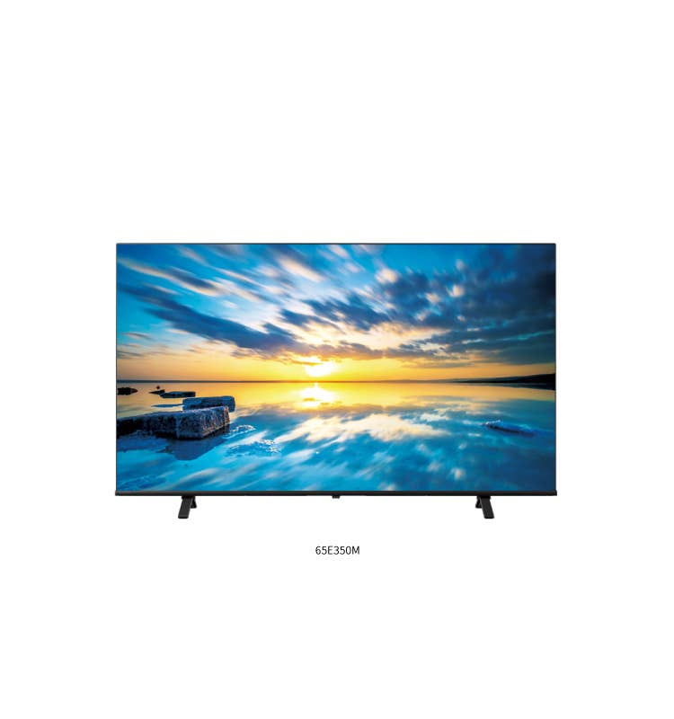 REGZA 50V型　E350M 4K液晶テレビ　25年製 TVS REGZA 液晶テレビ REGZA レグザ E350Mシリーズ [ 50V型 / 4K