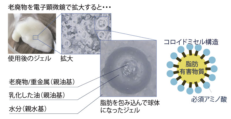 リジュケア