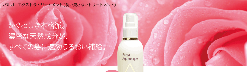 プロ仕様のサロン専売アミノ酸系シャンプー レラパルガ