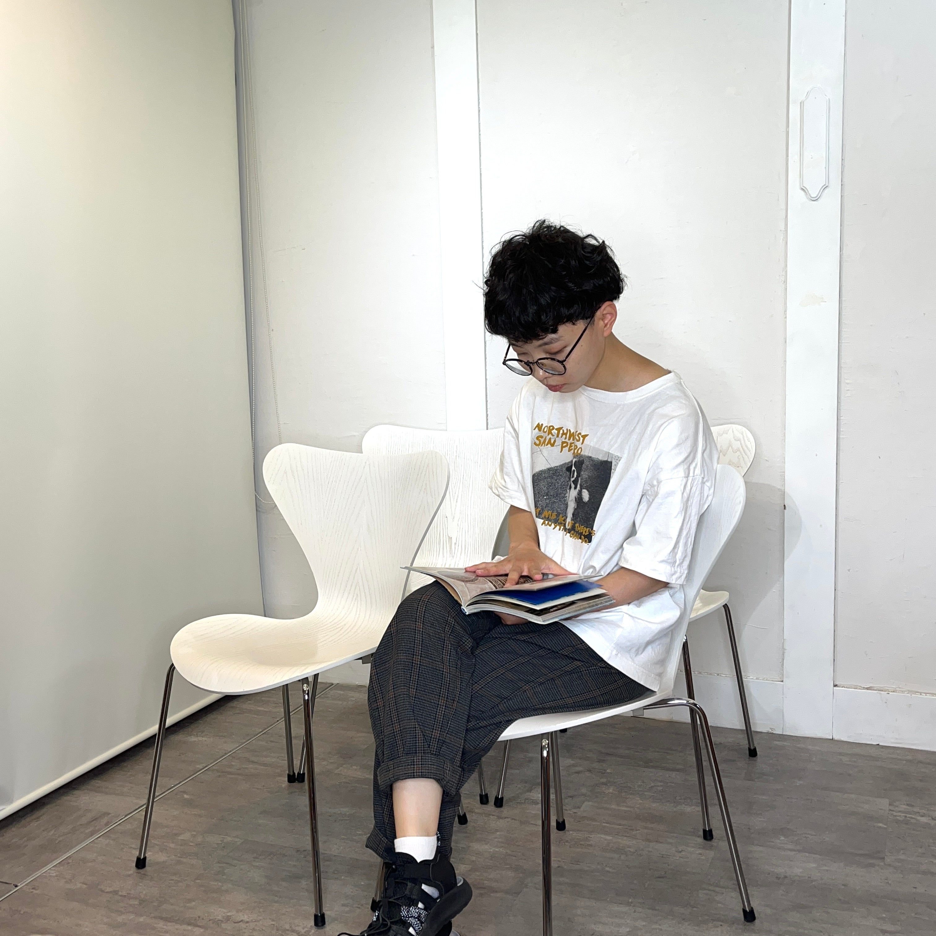 フリッツ・ハンセン / FRITZ HANSEN セブンチェア / seven chair