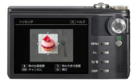 CX2 / RICOHブランド デジタルカメラ生産終了製品 | RICOH IMAGING
