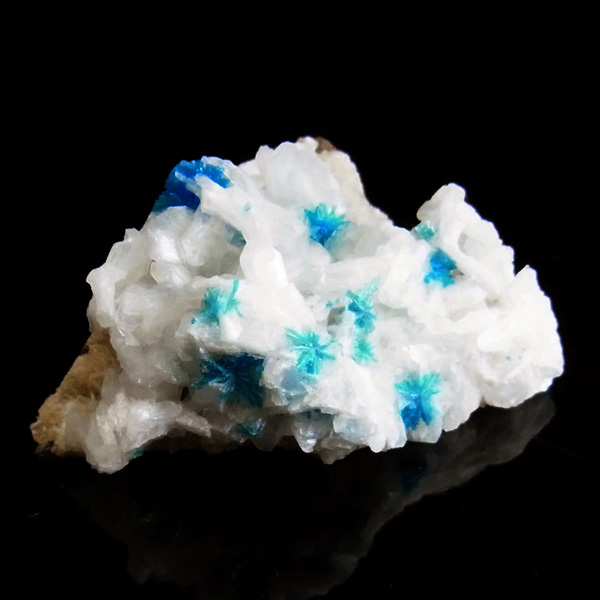 岡山のパワーストーン、風水・開運グッズのお店 龍祥本舗 / ペンタゴナ