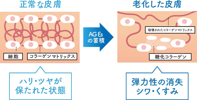 SBC MEDISPA ホワイトサプリメント(飲む日焼け対策・透明感)｜内服