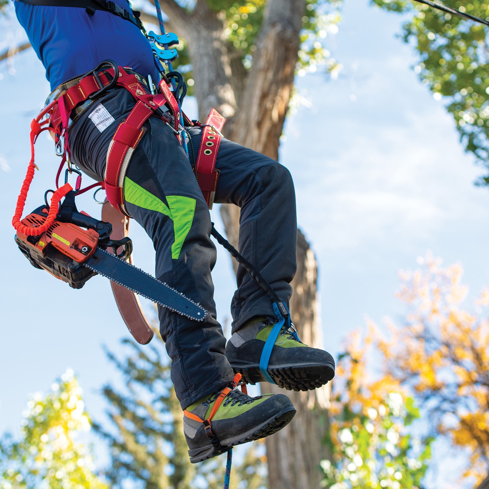 Nylon HAAS® Velox Ascent System - Weaver Arborist