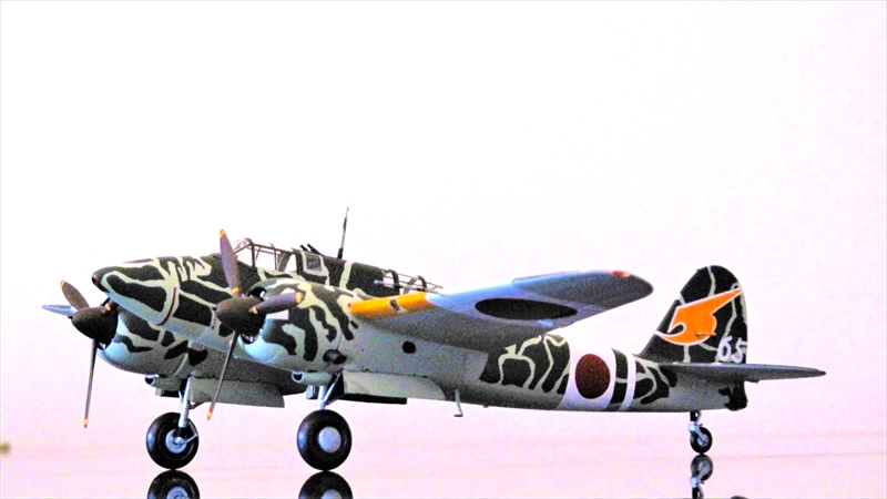 川崎 キ45改 二式複座戦闘機 屠龍 丁型(ハセガワ 1/48)＞ 特集