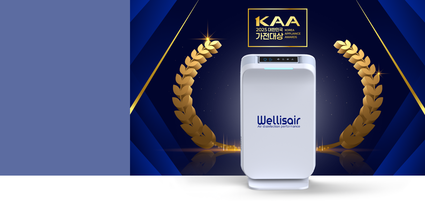 Wellis Air