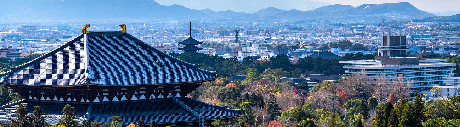 東京発 奈良旅行・奈良ツアーの格安予約|トラベルマルシェ