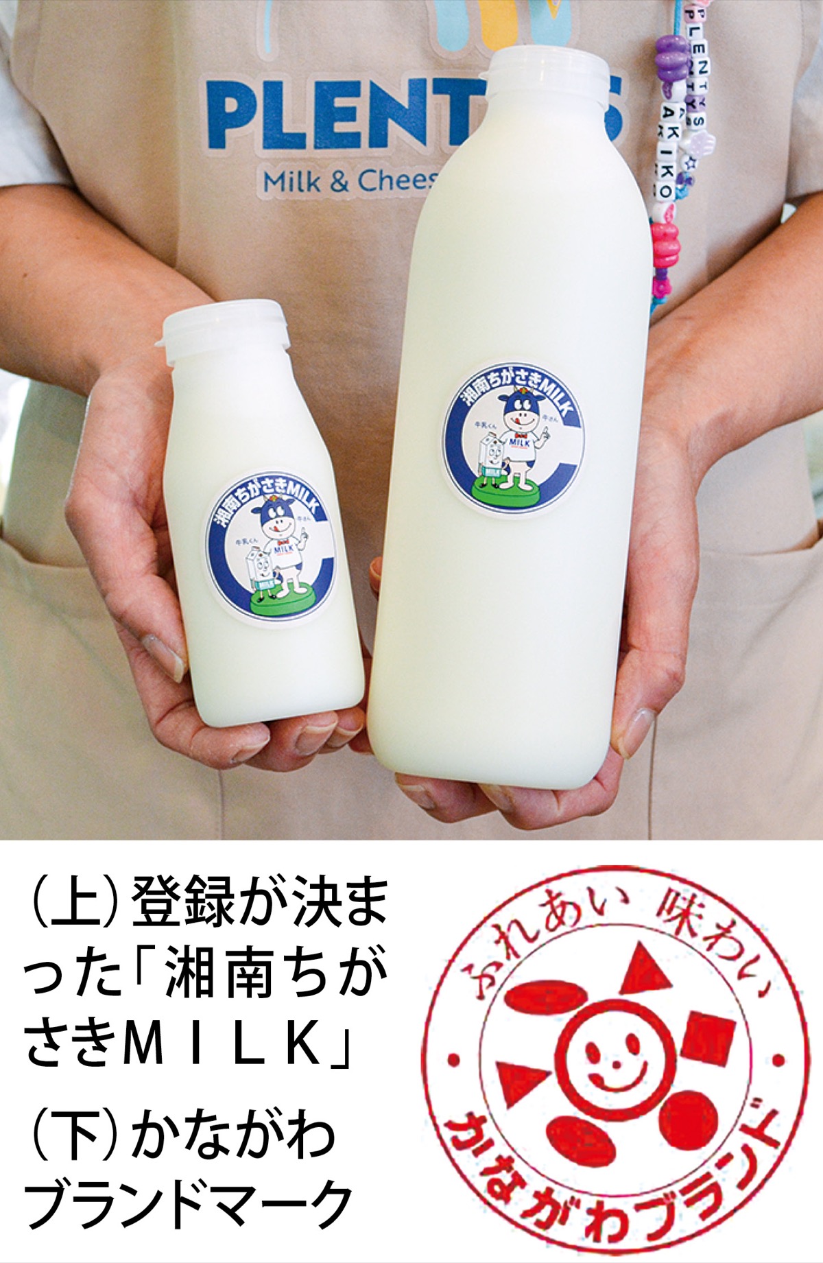 湘南ちがさきMILK 県のブランド品に登録 牛乳で初 搾りたての風味