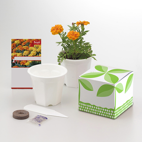 東京優芳園｜魔法の土®と種子セット