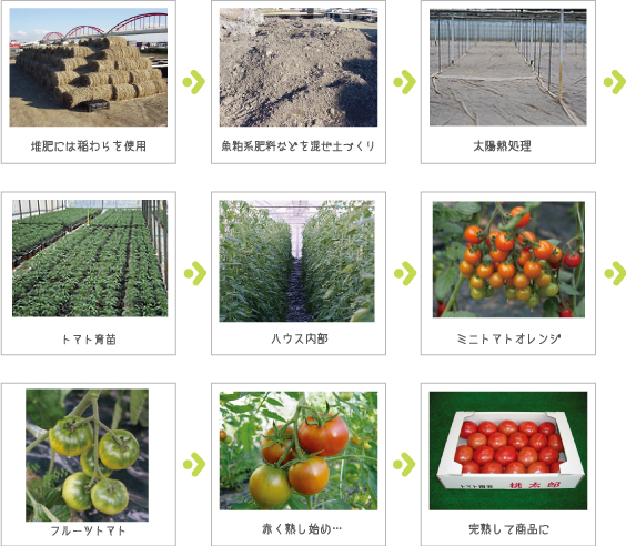 花とトマトの専門店 トマト園芸 レイクタウンそば