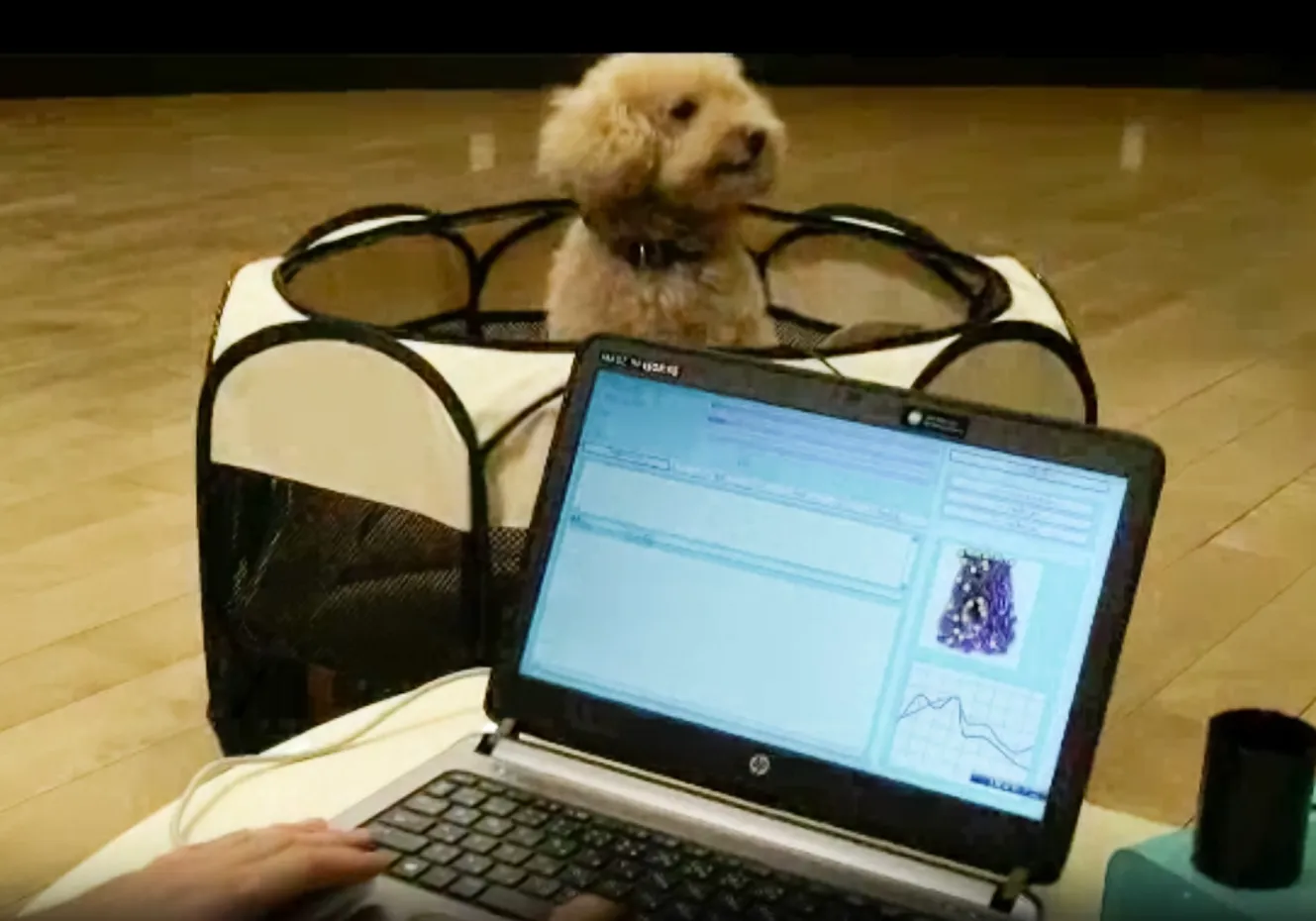 製品一覧 - 株式会社トントゥシステム