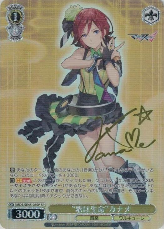 運命に導かれた坂道 SP ヴァイス ヴァイスシュヴァルツ 冴えない彼女の