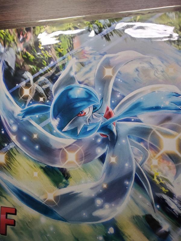 専用TOMさん】メガサーナイト プレイマット regional tin缶 専用TOM