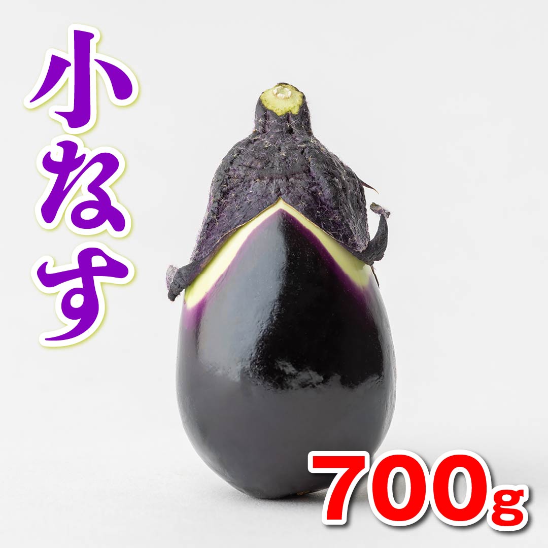 高知なす（5kgバラ）AM【通常納期より数日要す】 | 高知野菜・果物のお