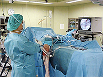 関節鏡視下手術 / 半月板損傷｜たてやま整形外科クリニック