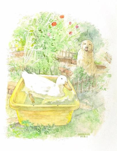 新着作品一覧|現代アート販売の@GALLERY TAGBOAT