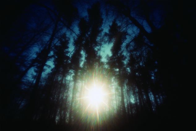 NOGUCHI Rika | Taka Ishii Gallery / タカ・イシイギャラリー