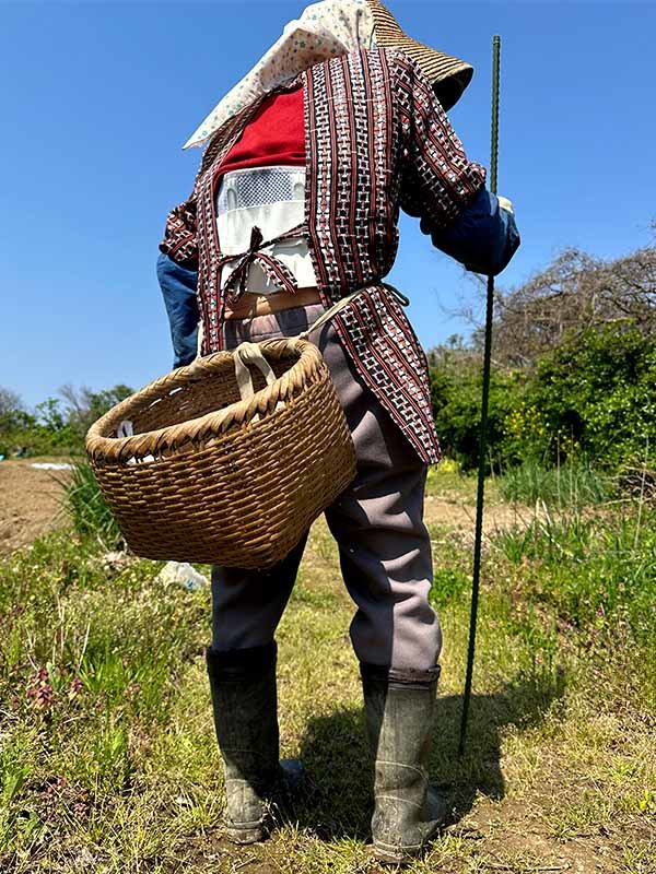 美しいアケビ丸籠 - 竹虎四代目がゆく！