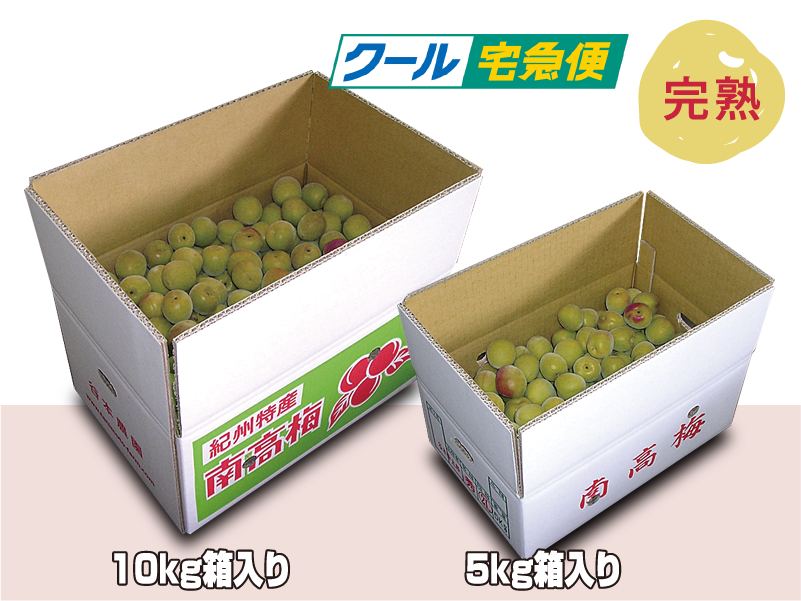 手採り梅干し用南高梅 | 鮮度抜群の採れたて南高梅、みかん、レモンを