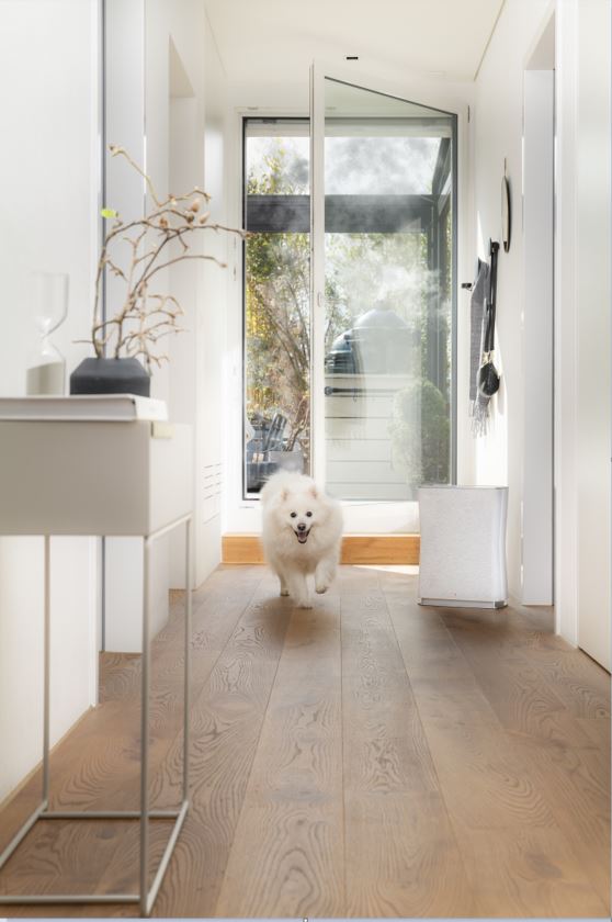 たのめーる】アントレックス Stadler Form(スタドラーフォーム) Roger