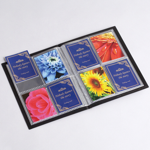 たのめーる】セキセイ パックン トレーディングカードホルダー<高透明